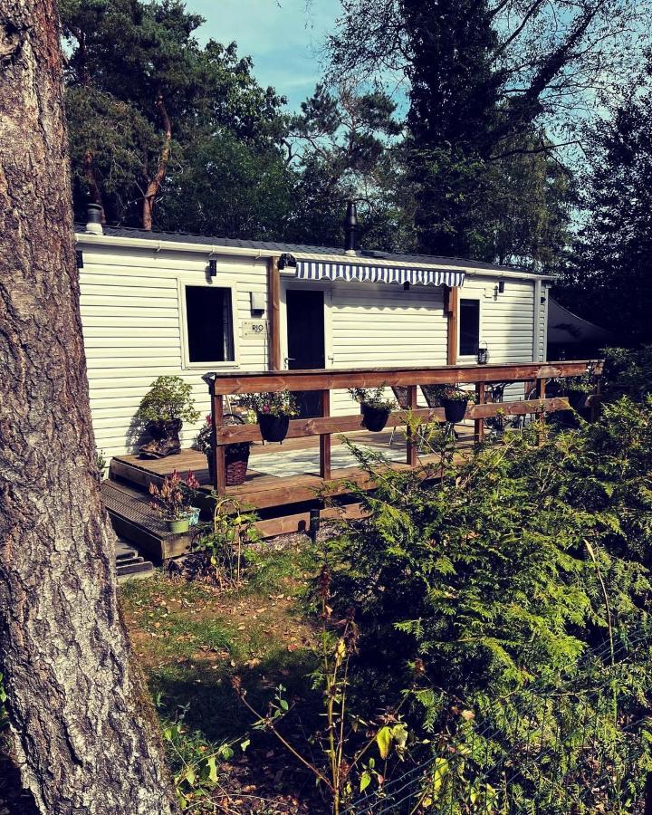 נונספייט Knus Chalet Midden In De Bossen מראה חיצוני תמונה