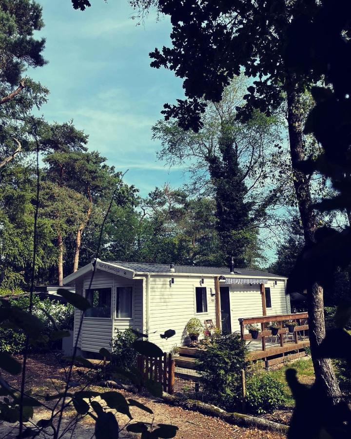 נונספייט Knus Chalet Midden In De Bossen מראה חיצוני תמונה