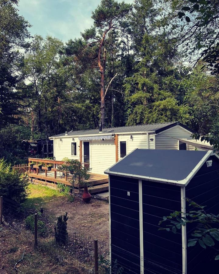 נונספייט Knus Chalet Midden In De Bossen מראה חיצוני תמונה