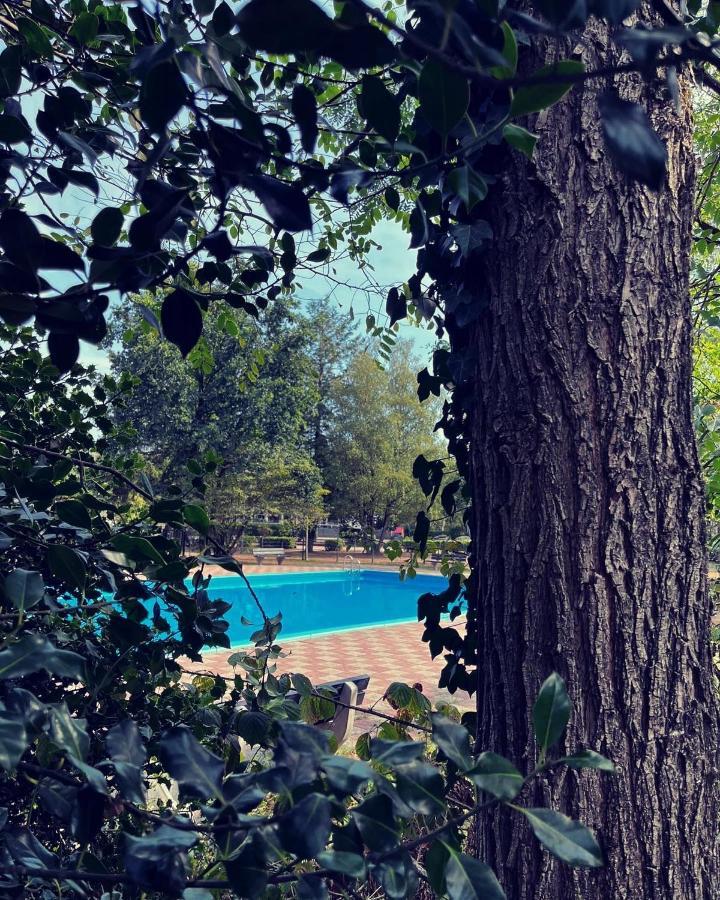 נונספייט Knus Chalet Midden In De Bossen מראה חיצוני תמונה
